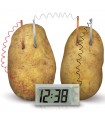 Orologio con patata