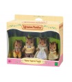 Famiglia Scoiattolo Nocciola