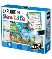 Explore the Sea Life