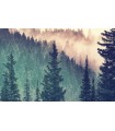 Puzzle da 200 Pezzi - Puzzle Moments: Foresta