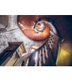 Puzzle da 1000 Pezzi - Lost Places: Scala a Chiocciola