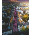 Puzzle da 1500 Pezzi - Bonn in Fiore