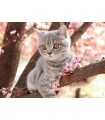4 Puzzle da 100 Pezzi - Piccoli Gatti