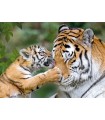 4 Puzzle da 100 Pezzi - Animali Selvatici