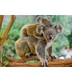 4 Puzzle da 100 Pezzi - Animali Selvatici