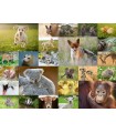 Puzzle da 200 Pezzi XXL - I Cuccioli del Mondo