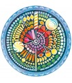 Puzzle da 500 Pezzi - Circle of Colors: Caramelle