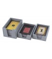 Troyes - Organizer interno