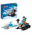 City - Gatto delle Nevi Artico