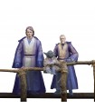 Star Wars The Black Series Spiriti della Forza