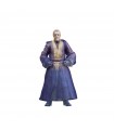 Star Wars The Black Series Spiriti della Forza