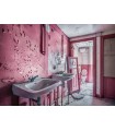 Puzzle da 1000 Pezzi - Rosa Fatiscente