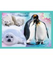 4 Puzzle in 1 - The Mysterious World of Animals