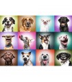 Puzzle da 1000 Pezzi UFT - Funny Dogs Faces