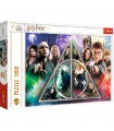 Puzzle da 1000 Pezzi - Harry Potter: The Deathly Hallows