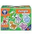 Jungle