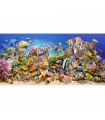 Puzzle da 4000 Pezzi Vita Sottomarina
