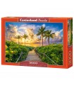 Puzzle da 3000 Pezzi Alba Colorata a Miami Stati Uniti