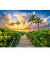 Puzzle da 3000 Pezzi Alba Colorata a Miami Stati Uniti
