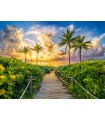 Puzzle da 3000 Pezzi Alba Colorata a Miami Stati Uniti