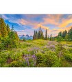 Puzzle da 2000 Pezzi - Fiori del Mattino