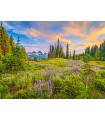 Puzzle da 2000 Pezzi - Fiori del Mattino