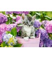 Puzzle da 1500 Pezzi Gattino nel Cestino