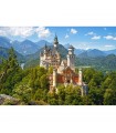 Puzzle da 500 Pezzi Veduta del Castello di Neuschwanstein Germania