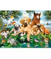 Puzzle da 200 Pezzi - Amici d'Estate