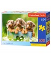 Puzzle da 100 Pezzi - Bassotti Carini