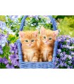 Puzzle da 70 Pezzi - Gattini Rossi