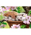 Puzzle da 120 Pezzi - Primavera