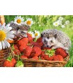 Puzzle da 260 Pezzi - Dolce alla Fragola