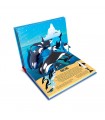Natura Pop Up - Balene e Delfini