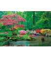 Puzzle da 500 Pezzi - Raindrops Lullaby
