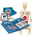 Scienza & Gioco - Il Corpo Umano