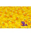 Puzzle da 1000 Pezzi - Impossible Puzzle: Paperelle