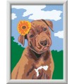 CreArt Serie E Classic - Cucciolo con Fiore