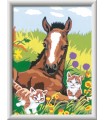 CreArt Serie D Classic - Puledro con Gattini