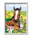 CreArt Serie D Classic - Puledro con Gattini