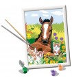 CreArt Serie D Classic - Puledro con Gattini