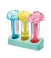 Kidz Labs - Magie con i Colori