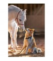 Puzzle da 1000 Pezzi - Amicizia Unica