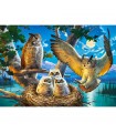 Puzzle da 500 Pezzi - Famiglia di Gufi