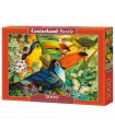 Puzzle da 3000 Pezzi - Interludio