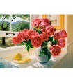 Puzzle da 3000 Pezzi - Reminiscenze Estive