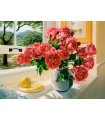 Puzzle da 3000 Pezzi - Reminiscenze Estive