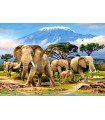 Puzzle da 1000 Pezzi - Kilimangiaro Mattina