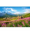 Puzzle da 1000 Pezzi - Hala GaSienicowa, Tatra, Polonia