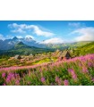 Puzzle da 1000 Pezzi - Hala GaSienicowa, Tatra, Polonia